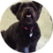 Rosie S. Avatar